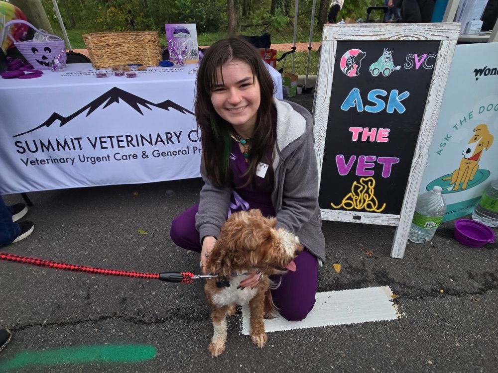 A Summit Veterinary Care team member with a dog at the Ask the Vet sign at Haymarket Day 2026