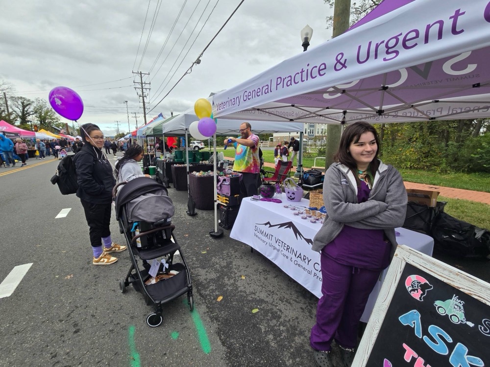 The Summit Veterinary Care booth on the festival street at Haymarket Day 2026