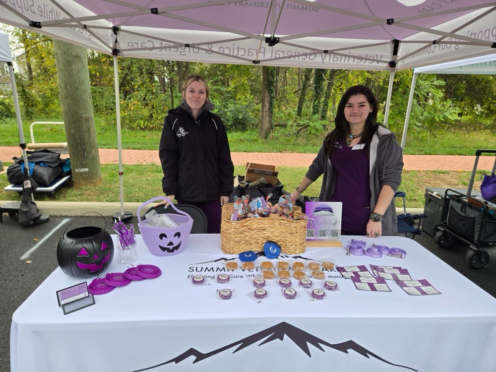 The Summit Veterinary Care booth table with treats and giveaways at Haymarket Day 2026