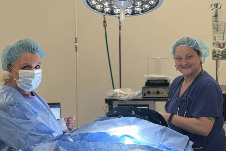 Summit Veterinary Care surgical team smiling in the operating room during a procedure.